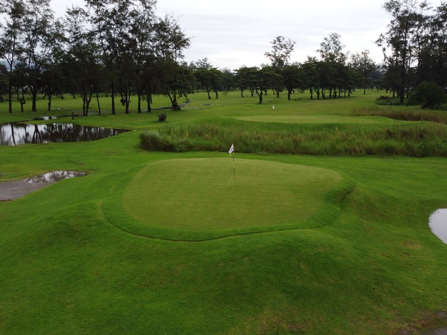 A green golf course with water hazards and casuarina trees near the coast
