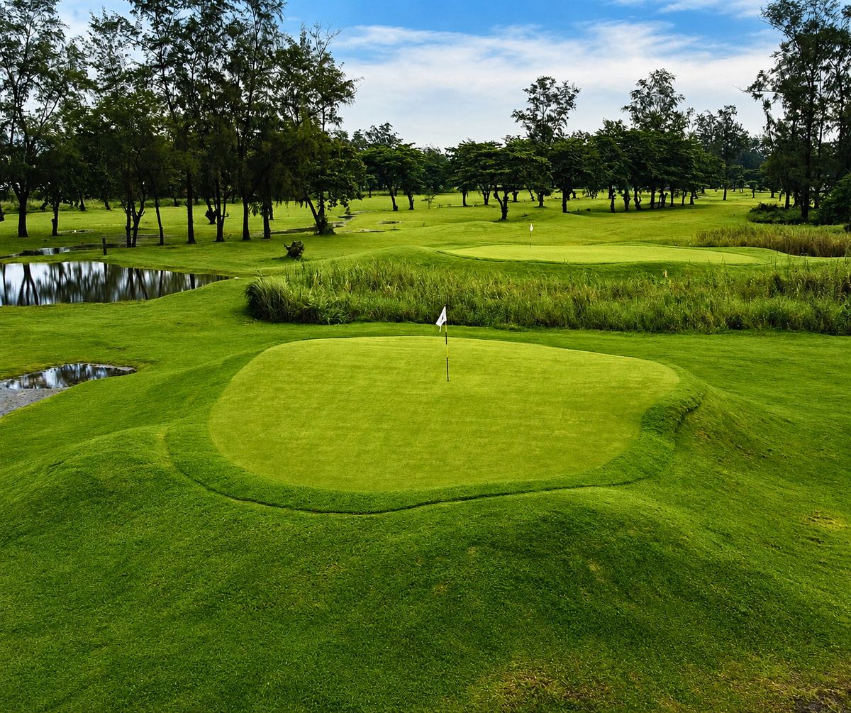 A manicured golf green with water hazards and trees