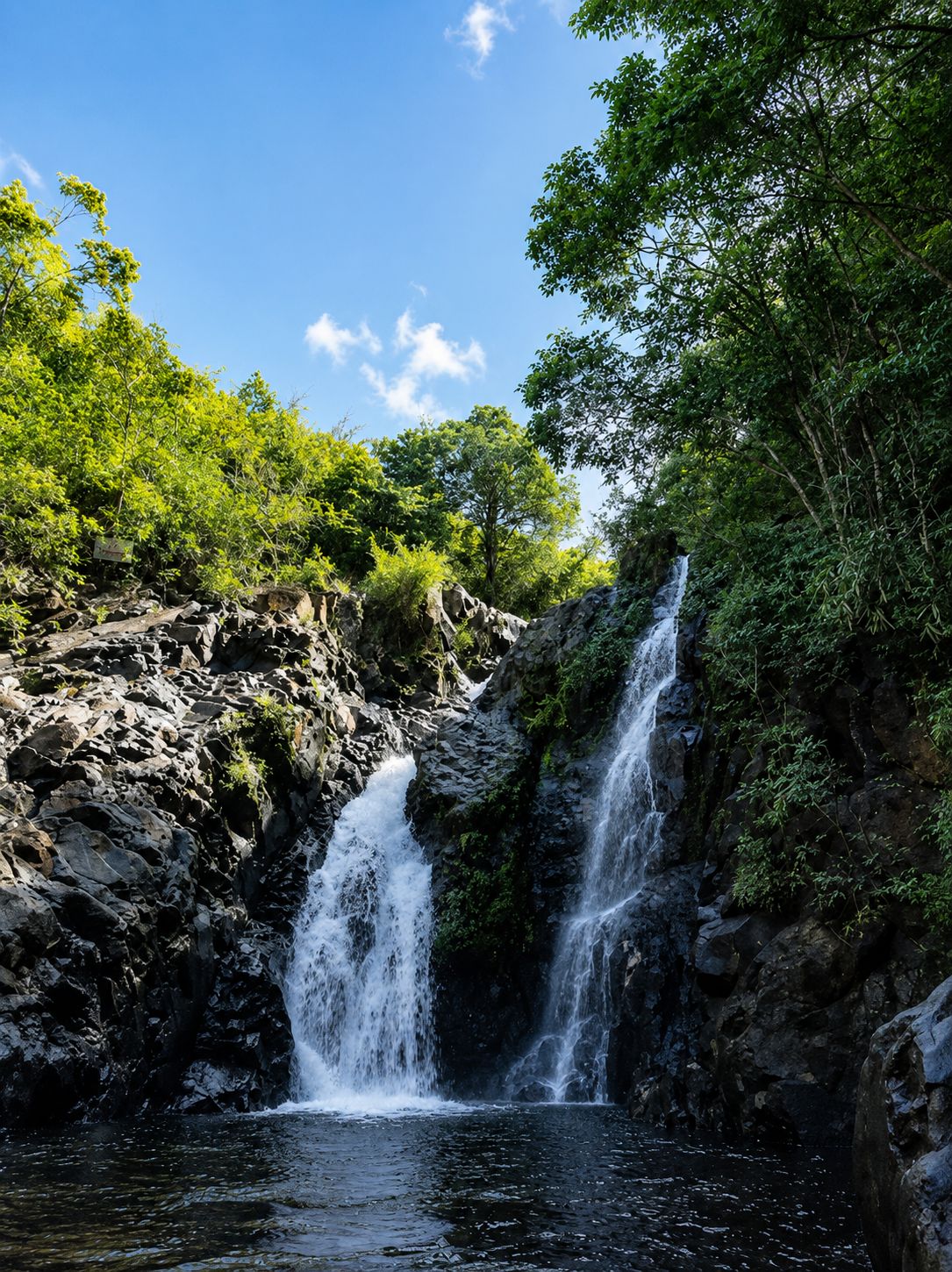 Twin waterfalls tumbling over dark rocks into a jungle pool
